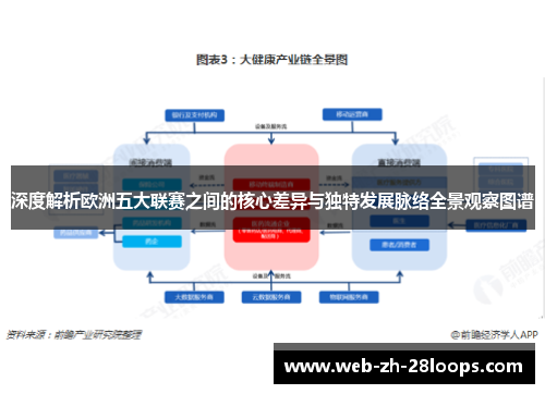 深度解析欧洲五大联赛之间的核心差异与独特发展脉络全景观察图谱