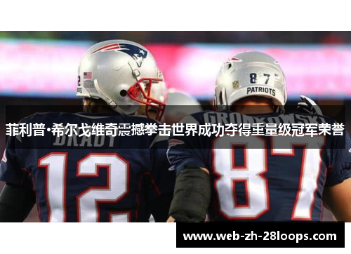 菲利普·希尔戈维奇震撼拳击世界成功夺得重量级冠军荣誉