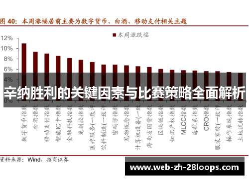 辛纳胜利的关键因素与比赛策略全面解析 辛纳胜利的关键因素与比赛策略全面解析